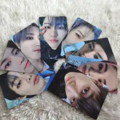 Stray Kids スキズ 特典 フォトカード トレカ 8枚セット 全員