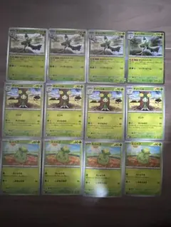 ミニーブ　オリーニョ　オリーヴァ　12枚セット　まんたんオイル