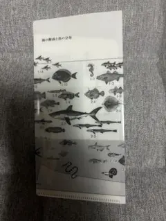 2026年最新】 魚図鑑 サカナクションの人気アイテム - メルカリ