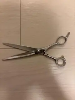 2025年最新】光シザー7インチの人気アイテム - メルカリ