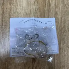 うちの子のけだまだま　チワワ