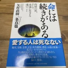 命には続きがある : 肉体の死、そして永遠に生きる魂のこと
