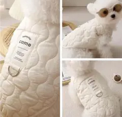 Item thumbnail for item bd943dd2-f372-40fd-a59f-cf3f200f7211