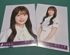 乃木坂46 是非に及ばず 生写真 封入 愛宕心響 セミコンプ - メルカリ