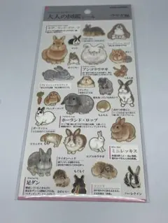 Item thumbnail for item 4e80e5a0-29ed-4632-8717-67ff54097e87