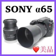 ❤️SONY α65❤️美品 手振れ補正付き 望遠レンズ付き 高速連写&追従AF