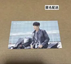 SEVENTEEN ウォヌ Attacca TSUTAYA特典ステッカー セブチ