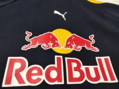 (5187)RedBull/puma F-1　2016パーカー　ユーズド