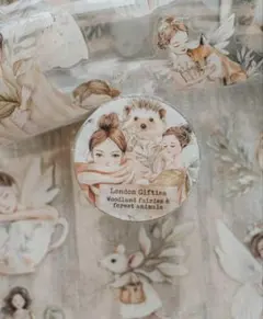 Item thumbnail for item 1b08e6e4-e3cb-4ffb-bd80-fccffa2d6e6e