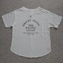 SM2サマンサモスモス　スラブロゴプリントアソートTシャツのサムネイル