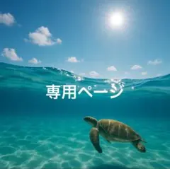 樫山様 リクエスト 4点 まとめ商品