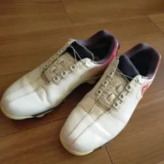 フットジョイ　ゴルフシューズ　25cm