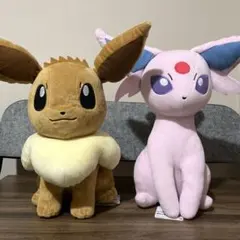 포켓몬 ぬいぐるみ イーブイ 에브이 2点セット 新品 大きめ