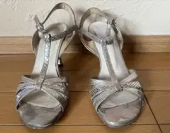 ネオタンゴ シルバー