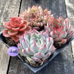 マリリン様 リクエスト 4点 まとめ商品