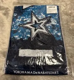横浜denaベイスターズ スターナイト