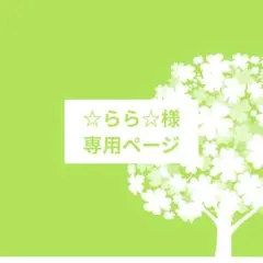 ☆らら☆様専用ページ
