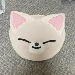 straykids アイエン フォクシニー うちわケース