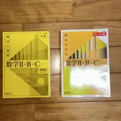 数学Ⅱ+B+C (解法と演習) 解説編
