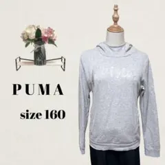 PUMA　プーマ　スウェットパーカー　160　グレー　ビックロゴ　長袖