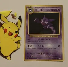 ポケパーク　プロモ　ファイル　ポケモンカード 2025年最新】シリーズ：PCG ポケパークプレミアムファイル