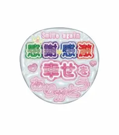 【ぷっくりうちわ期間限定半額中】嵐