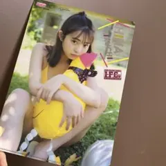 トト様 リクエスト 3点 まとめ商品