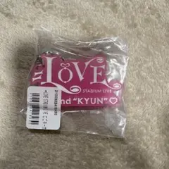 =LOVE STADIUM LIVE キーホルダー イコラブ 国立