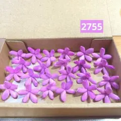 솔라 플라워 2755
