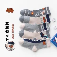 まとめて売り　新品 子供靴下 5足セット 男の子　通学　恐竜　ソックス