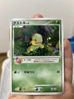 2026年最新】ナエトル 001/PPPの人気アイテム - メルカリ