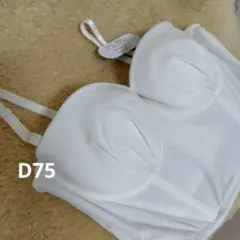 新品未使用タグ付き ホワイトエンジェル MA012 D75 ブラジャー