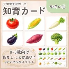 知育カード やさい 幼児 フラッシュカード 0歳 1歳 2歳 おもちゃ 保育