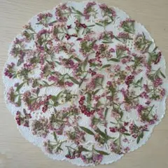 のん・のん様 リクエスト 3点 まとめ商品