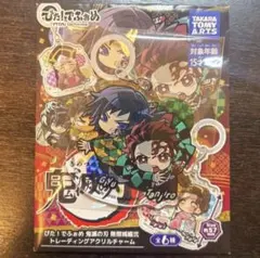 鬼滅の刃 ぴた！でふぉめトレーディングアクリルチャーム 冨岡義勇 竈門炭治郎