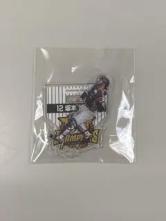 阪神タイガース アクリルスタンド 2025 優勝記念くじ 坂本誠志郎選手