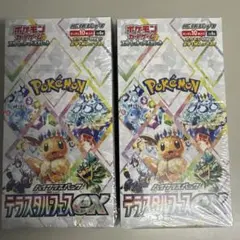 ポケモンカードゲーム テラスタルフェスEX 2ボックスセット