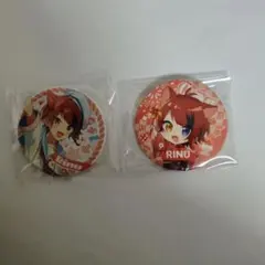 パイン様専用•*¨