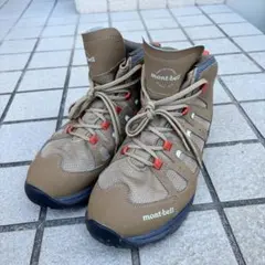 Item thumbnail for item 4c45d180-149f-4e36-b0f2-38ff594806de