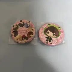てるとくん ニコキャス2 缶バッジ