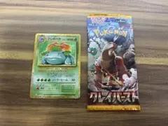 フシギバナ 25th カメックス 25th 2枚セット - メルカリ