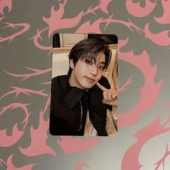 Stray Kids Do it ハン トレカ It ver. 封入