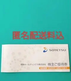 相鉄 ホールディングス 株主優待券のサムネイル