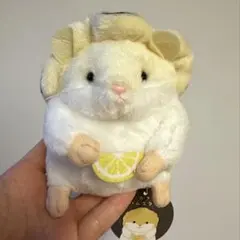 牡蠣ハムスター　かきのサムネイル
