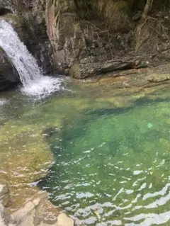 2025年最新】中山美穂 毎度おさわがせしますの人気アイテム