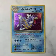 2025年最新】わるいギャラドスの人気アイテム - メルカリ