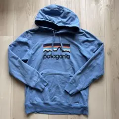 patagonia オーガニックコットン パーカー M