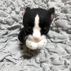 REAL ANIMAL☆ 猫つまんでマスコットBC シャム猫 ぬいぐるみ - メルカリ