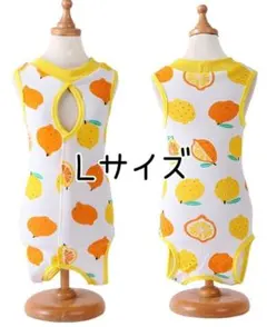 Item thumbnail for item 694c6bb6-ec2c-4616-bd17-d5ff1026a506