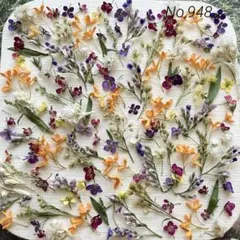 No,948 特小小花ミックス　ドライフラワー花材